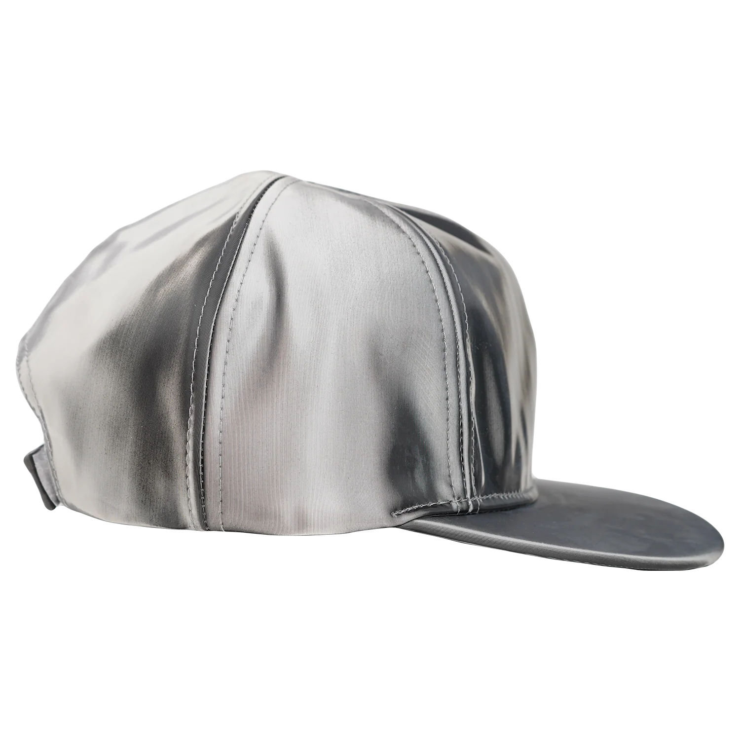 Lenticular Snapback - Silver & Black